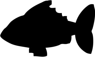 Popisovací tabule RYBA s popisovačem a lepící páskou, černá  (FB-FISH)